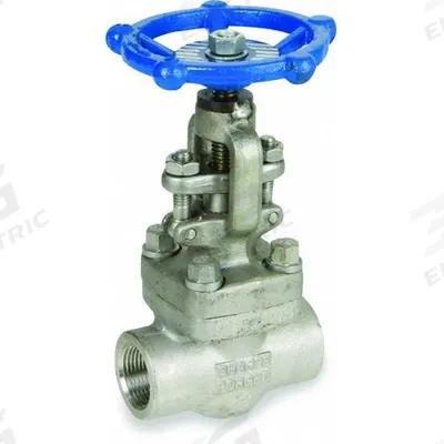 SHARPE Globe Valves: For Steam Media, 316L Stainless Steel, 1 in Pipe Size, FNPT x FNPT - Stainless Steel Straight-Body General-Service Globe Valves