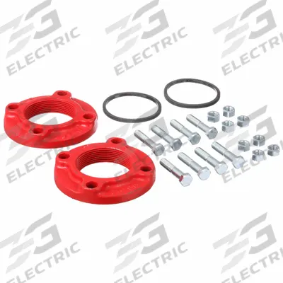 ARMSTRONG Flange Kits: 3 in, 805188-111K, 3 in FNPT, Flange - Standard Flanges