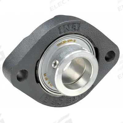 INA 2 Bolt Flange Bearing: Radial Ball, 25 mm Bore, Cast Iron, Eccentric Collar - General Purpose Flange-Mount Ball Bearings