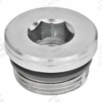 JW WINCO Threaded Plug: Steel, FPM Seal, Type G, 1 1/4 in Thd, Internal Hex, 50 mm Drive Size (MPN 749-G11/4-B). Key specifications — attr1303757: Steel; attr1303744: JW WINCO; attr1303766: 1-1/4 in; attr1303749: Internal Hex; attr1303767: Type G; attr1303762: FPM.