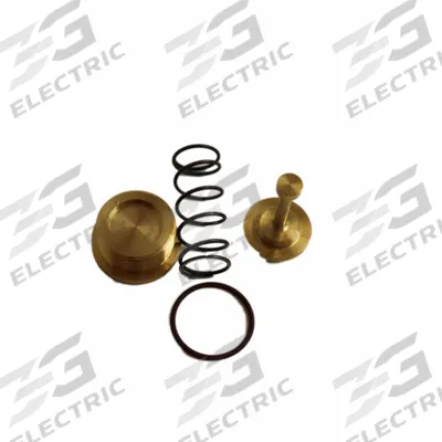 PIUSI Shaft Seal: Mfr Part # R21429000 - Pump Rebuild Kits