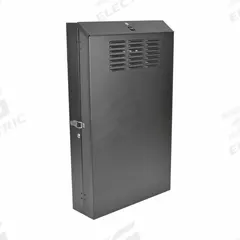 EATON TRIPP LITE Server Rack Enclosure: 4 Rack Units, 43 in x 25 5/8 in x 8 in, Wall Mount, Steel (MPN SRWF4U36). Key specifications — Brand: EATON TRIPP LITE; Includes: (12) 12-24 Screws; Material: Steel; Features_Broad: Low-Profile Vertical Server-Depth.