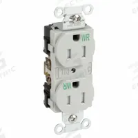 HUBBELL Receptacle: Duplex, 5-15, Gray, 125V AC, 15 A, 2 Pole / 3 Wire (MPN BR15GRYWRTR)