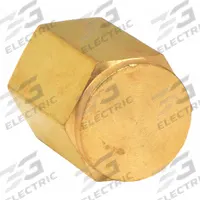 PARKER Cap: Cored Cap, Bright C36000 Brass, 1/2 in, NPT Threaded, 3,600 psi, 1 11/32 in Lg (MPN 8 CP-B). Key specifications — Maximum Operating Pressure: 3,600 psi.