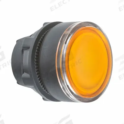 SCHNEIDER Flush Push Button: 22 mm Mounting Size, Non-Metallic - Illuminated Flush-Mount Push-Button Operators