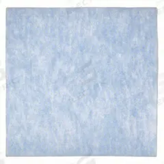 GRAINGER Air Filter Pad: 18 in x 18 in x 1/2 in, Polyester, Blue/White (MPN 5W089). Key specifications — attr1286261: Polyester; attr1286264: Yes; attr1286288: White; attr1286283: GRAINGER.