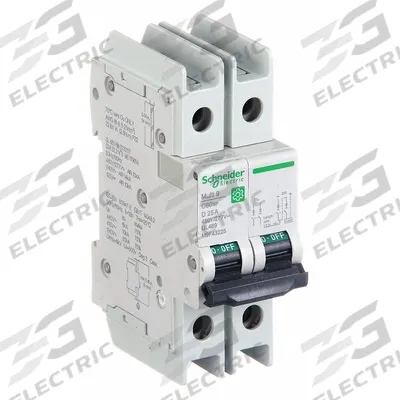 SCHNEIDER ELECTRIC IEC Miniature Circuit Breaker: 25 A Amps, 14kA at 120/240V AC, Screw Clamp - D-Curve, 2-Pole UL489 DIN Rail-Mount Miniature Circuit Breakers