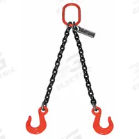 LIFT-ALL Double Leg Chain Sling: 7/8 in Chain Trade Size, 80 Chain Grade, Sling Hook, Alloy Steel (MPN 78DOSW8X14). Key specifications — Brand: LIFT-ALL.