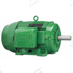 WEG General Purpose Motor: Rigid Base Mount, Totally Enclosed Fan Cooled, 20 hp, 230/460V AC (MPN 02012EG3E286T-W22). Key specifications — Brand: WEG; Nameplate Voltage @ 60 Hz: 230/460V AC; Full Load Current @ 60 Hz: 48.8/24.4 A; Nameplate RPM @ 60 Hz: 1,180 RPM; Motor Enclosure: TEFC.