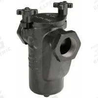 MUELLER STEAM SPECIALTY Basket Strainer: Cast Iron, 0.062 in Screen Size, Single, NPT, 2 in (MPN 2 125 CI iron body screwed). Key specifications — Brand: MUELLER STEAM SPECIALTY; Compatible Product Type: Water; Gasket Material: Buna-N; Screen Material: 304 Stainless Steel.