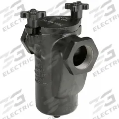 MUELLER STEAM SPECIALTY Basket Strainer: Cast Iron, 0.062 in Screen Size, Single, NPT, 2 in (MPN 2 125 CI iron body screwed). Key specifications — Brand: MUELLER STEAM SPECIALTY; Compatible Product Type: Water; Gasket Material: Buna-N; Screen Material: 304 Stainless Steel.
