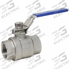 DIXON VALVE & COUPLING Manual Two-Way Ball Valve: 1 in, 316 Stainless Steel, Straight Valve Body (MPN SSLBV100). Key specifications — Brand: DIXON VALVE & COUPLING; Handle: Locking Lever.