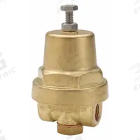 CASH VALVE Cryogenic Pressure Regulator: Brass, NPT x NPT, 1/4 in Inlet Connection Size (MPN A32ZACSZSZTF01-E7-200). Key specifications — Brand: CASH VALVE.