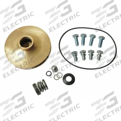 Dayton Repair Kit: Mfr Part # 21TH42 - Seal Kits & Gaskets for Straight Centrifugal Pumps