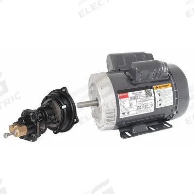 Dayton Rotary Gear Pump: Direct Drive, 1 hp Horsepower, 115/230V AC, Cast Iron Body - Direct-Drive Rotary Gear Pumps