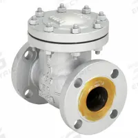 MILWAUKEE VALVE Swing Check Valve: Swing, Inline Valve Body, 2 in Pipe Size, Flange x Flange, Steel (MPN 1570 CB2 2"). Key specifications — Brand: MILWAUKEE VALVE.