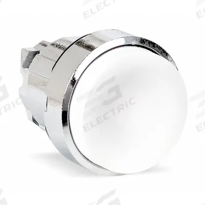 SCHNEIDER Extended Push Button: 22 mm Mounting Size, Metallic - Extended-Length Push-Button Operators