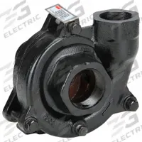 Pedestal Pump: Sized for 3 hp, 74 ft Max Ft of Head, 5/8 in Shaft Out Dia (MPN 2ZWX9). Key specifications — Brand: DAYTON.