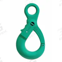 CAMPBELL Self-Locking Hook: 22,600 lb Working Load Limit, 100 Hook Grade, Alloy Steel, Eye, Painted (MPN 5649095). Key specifications — Color: Green; Brand: CAMPBELL; Visual Indicator Markings: None.