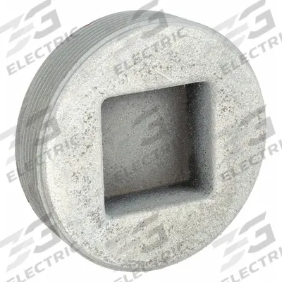 APPLETON ELECTRIC Blank Plugs - Haz Loc: Iron, Galvanized, 2 1/2 in Trade Size, NPT - Hazardous Location Blank Plugs