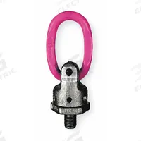 RUD CHAIN Hoist Ring: Pivot/Swivel, Steel w/Pink Powder-Coated Bail, M20-2.5, Max. 5,500 lb, Lifting (MPN 7989081). Key specifications — Brand: RUD CHAIN; Thread Size: M20-2.5; Operation: Lifting.