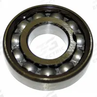TIMKEN Radial Ball Bearing: 6212, Open, 60 mm Bore, 110 mm OD, 22 mm Wd, Alloy Steel Ring, 1 (MPN 212W). Key specifications — System of Measurement: Metric; Bearing Industry Number: 6212.