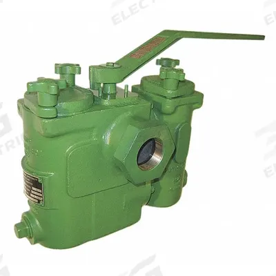 MUELLER STEAM SPECIALTY Basket Strainer: Cast Iron, 0.062 in Screen Size, Dual, NPT, 2 in - Cast Iron Basket Strainers