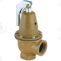 WATTS Pressure Relief Valve: FNPTF x FNPTF, 1 1/4 in x 1 1/2 in, Iron, 75 psi Max. Op Pressure (MPN 0383025). Key specifications — Brand: WATTS.