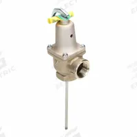 WATTS Pressure Relief Valve: Section XIII ASME Section, FNPTF x FNPTF, 1 in x 1 in Connection Size (MPN F121456). Key specifications — Brand: WATTS; Body Material: Copper Silicon Alloy.