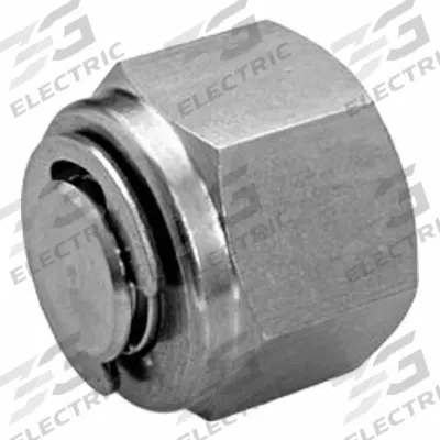 HAM-LET Compression Fitting Plug: 5/16 in OD Fitting Size, Compression - Double-Ferrule Stainless Steel Fittings