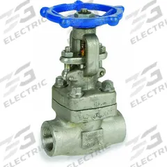 SHARPE Gate Valve: 2 in, 316L Stainless Steel, Rising, Socket x FNPT, 1,600 psi CWP, Wheel (MPN 4371004060). Key specifications — Bonnet Material: 316L Stainless Steel; Wedge Material: 316 Stainless Steel; Brand: SHARPE.