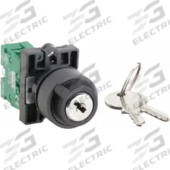DAYTON Selector Switch: 2 Position, 22 mm Panel Mounting Size, 1NO (MPN 30G270). Key specifications — Manufacturer Part Number: 30G270; Brand: DAYTON; Switch Action: Maintained/Maintained; Contact Form: 1NO; Key Removal Position: Any Position.
