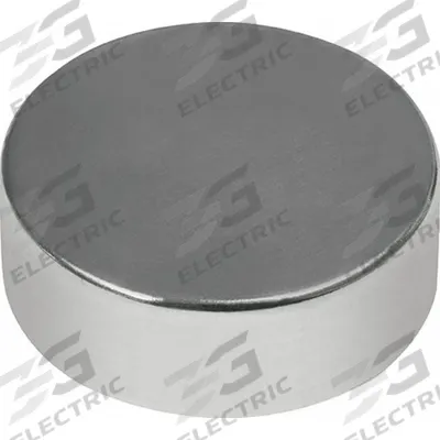 MAG-MATE Rare Earth Magnet: Neodymium, 3/4 in Outside Dia, 0.25 in Thick, Disc Magnet - Disc Rare Earth Magnets