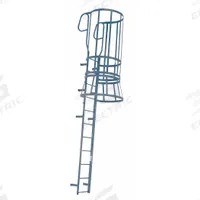 COTTERMAN Fixed Ladder with Safety Cage: 17 ft Overall Ht, 20 in Overall Wd, Steel, 14 Rungs (MPN M14WC C1). Key specifications — attr1050722: COTTERMAN; attr1050760: Assembled; attr1083696: 3.