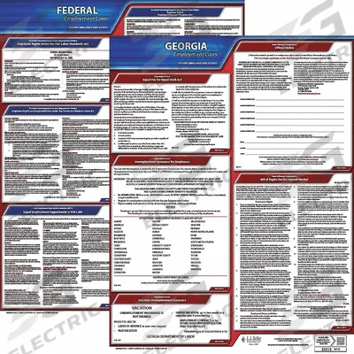 JJ KELLER Labor Law Poster: GA, English, Plastic, 20 in x 24 in - State & Federal Labor Law Poster Sets
