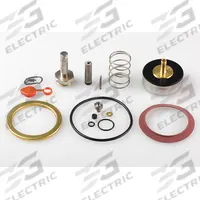 ASCO Valve Rebuild Kit (MPN 310387). Key specifications — Manufacturer Part Number: 310387; Brand: ASCO; Compatible with Manufacturer Model Number: 8221G001; Includes: Clip Retaining.