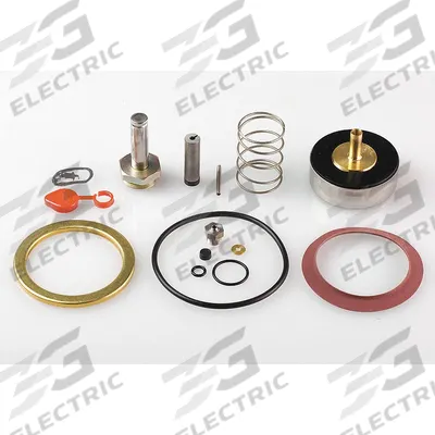ASCO Valve Rebuild Kit (MPN 310387) - Repair Kits for Solenoid Valves