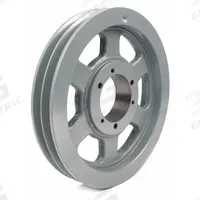 APPROVED VENDOR V-Belt Pulley: 3V1900, 2 Groove, 19 in OD, Bushed Bore, SK, For 3V/3VX Belt Section (MPN 3V1902). Key specifications — Pulley Industry Number: 3V1900; Pitch Diameter: 19 in (3V); For Belt Section (broad, with similar types): 3V or 3VX.