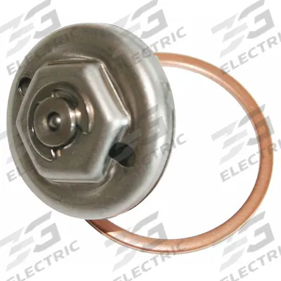 BELL & GOSSETT Steam Trap Replacement Module: For Bell & Gossett (MPN 600056) - Thermostatic Replacement Elements