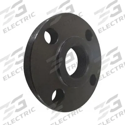 APPROVED VENDOR Metal Pipe Flange: 3/4 in, NPT Threaded, Carbon Steel, Raised Flange - Threaded Steel & Iron Pipe Flanges