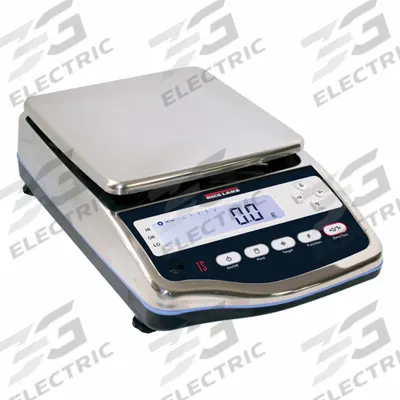 RICE LAKE WEIGHING SYSTEMS Food Scale: 5 1/2 in Weighing Surface Dp - Food Scales