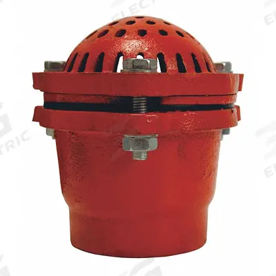 DIXON VALVE & COUPLING Foot Valve: Cast Iron, 3 in Pipe Size, Pumps - Foot Valves