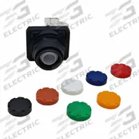 DAYTON Flush Push Button Operator: Non-Illuminated, Flush Profile, Non-Metallic, 30 mm, 1NO/1NC (MPN GGS_116339). Key specifications — Brand: DAYTON; Action: Momentary; Push Button Material Type: Non-Metallic.