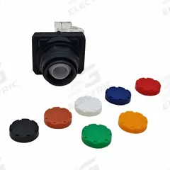 DAYTON Flush Push Button Operator: Non-Illuminated, Flush Profile, Non-Metallic, 30 mm, 1NO/1NC (MPN GGS_116339). Key specifications — Brand: DAYTON; Action: Momentary; Push Button Material Type: Non-Metallic.