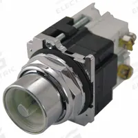 EATON Flush Push Button: 30 mm, Non-Metallic, Momentary, Transformer, Incandescent (MPN 10250T419). Key specifications — Action: Momentary; Brand: EATON; Series: 10250T; Push Button Material Type: Non-Metallic.