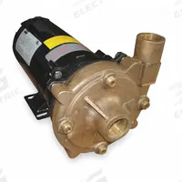 Centrifugal Pump: 3/4 hp, 230/460V AC, 98 ft Max Head, 1 1/4 in , 1 in Intake and Disch (MPN 2ZWZ9). Key specifications — Brand: DAYTON; Motor Enclosure Type: ODP.
