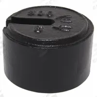 RICE LAKE WEIGHING SYSTEMS Calibration Weight: 5 lb Nominal Mass, Slotted Calibration Wt, 7, 5lb (MPN 10160). Key specifications — Brand: RICE LAKE WEIGHING SYSTEMS; Calibration Weight Material: Cast Iron.