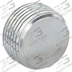 Blank Plugs - Haz Loc: Steel, Electroplated, 3/4 in Trade Size, NPT, Male to Male, Hub/Taped Hole (MPN PLUG2). Key specifications — Brand: HUBBELL KILLARK.