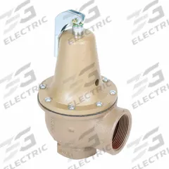 WATTS Pressure Relief Value: FNPTF x FNPTF, 2 in x 2 1/2 in, Iron, 75 psi Max. Op Pressure (MPN F384292). Key specifications — Brand: WATTS.