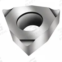 WALTER Turning Insert: WCGT731-X25 WK1, WCGT030204-X25 WK1 (MPN 5004193). Key specifications — attr257986: WCGT030204-X25 WK1; attr257985: WCGT731-X25 WK1.